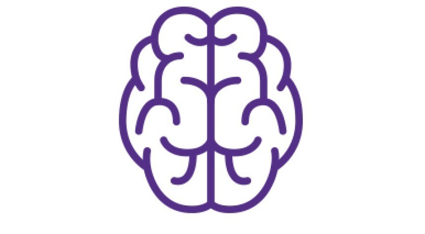 Εικονίδιο ενός εγκεφάλου, που συμβολίζει τη σκέψη, τη γνώση και τις γνωστικές διαδικασίες.