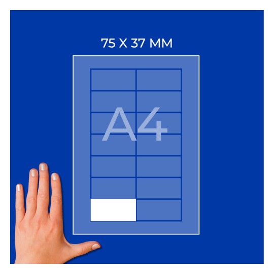 Διάγραμμα σε φύλλο A4 με ετικέτα 75 x 37 mm και χέρι κάτω αριστερά;